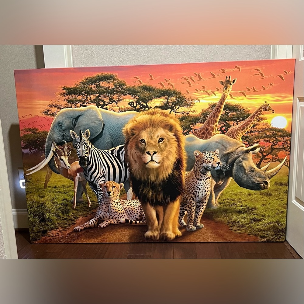 Canvas to hang on wall